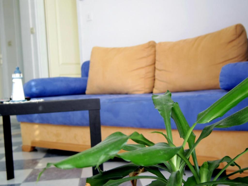 Apartments Capitano Blue Zaton  Cameră foto